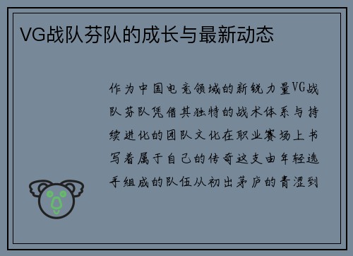VG战队芬队的成长与最新动态